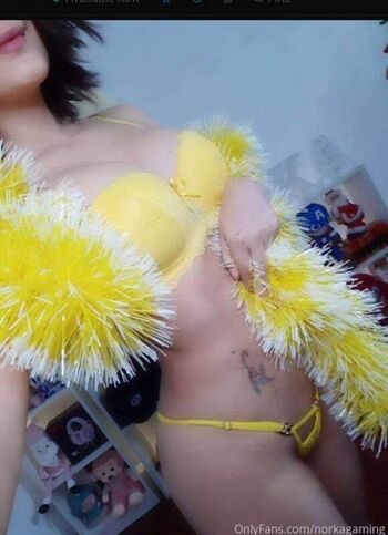 Full leaked Norkagaming private onlyfans photo