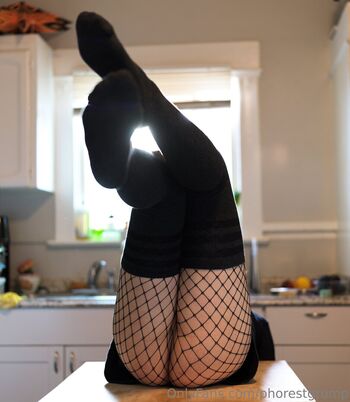 Full leaked Phorestgrump page private onlyfans photo