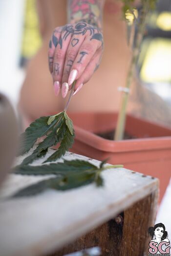 Full leaked Pink suicide page private onlyfans photo