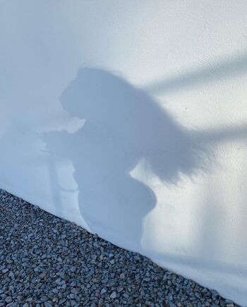 Full leaked Ronja fitness page private onlyfans photo