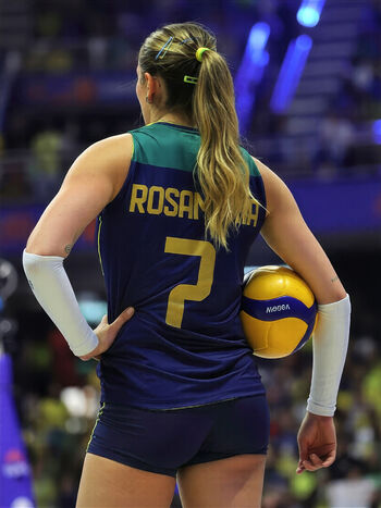 Rosamaria Montibeller