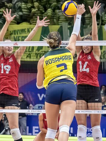 Rosamaria Montibeller