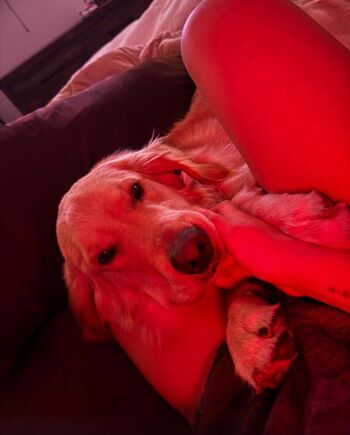 Full leaked Roxanne perez rok c wwe nxt page private onlyfans photo