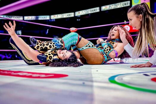 Full leaked Sasha banks page private onlyfans photo