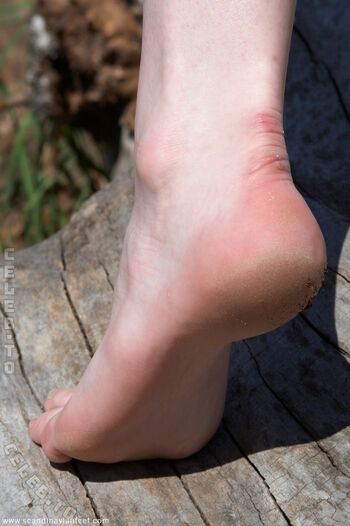 Scandinavian Feet