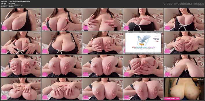 Full leaked Secrethandful  page private onlyfans photo