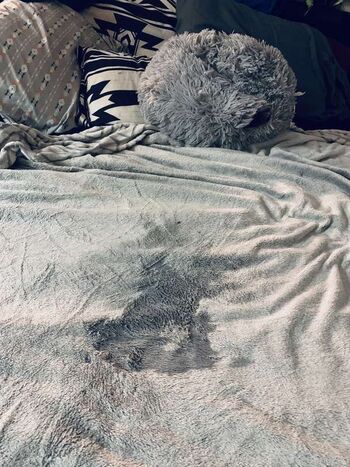 Full leaked Sedona zen page private onlyfans photo