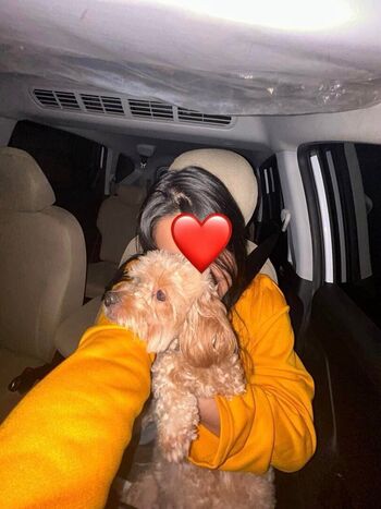 Full leaked Shizumigamergirl private onlyfans photo