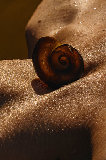 Full leaked Solomia maievska page private onlyfans photo