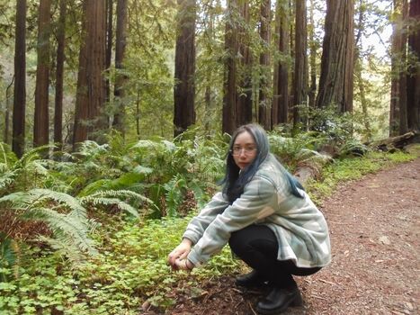 Full leaked Sophia phan private onlyfans photo