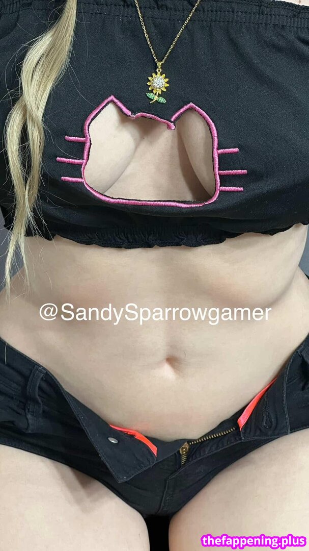 SSandia / sandialilibeth / sandysparrowgamer Naakte OnlyFans Foto #3