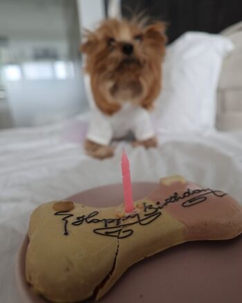 Full leaked Tattoogirlalia  page private onlyfans photo