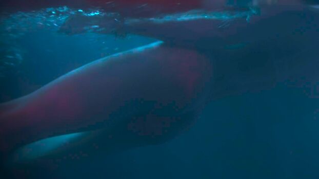 Full leaked Taylor momsen private onlyfans photo