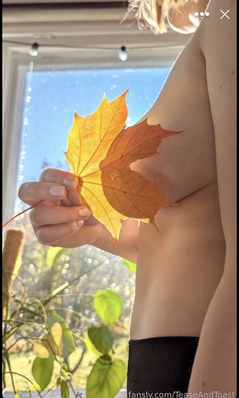 Full leaked Teaseandtoast private onlyfans photo