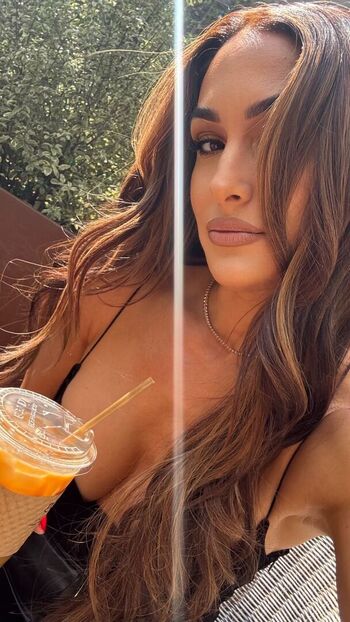 Full leaked The bella twins page private onlyfans photo