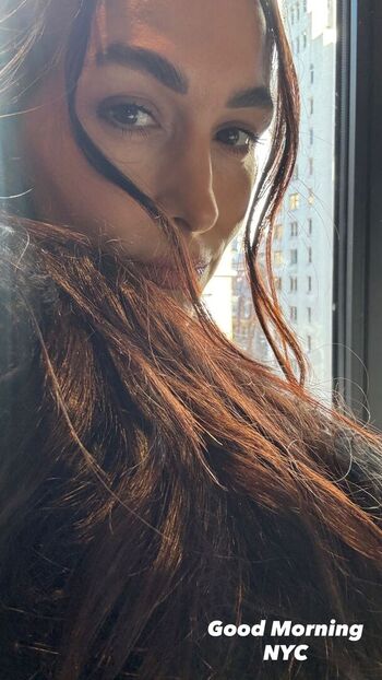 Full leaked The bella twins private onlyfans photo