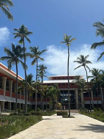 Full leaked Thisisnotdimi page private onlyfans photo