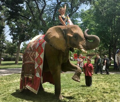 Full leaked Tinygirlbigshow private onlyfans photo