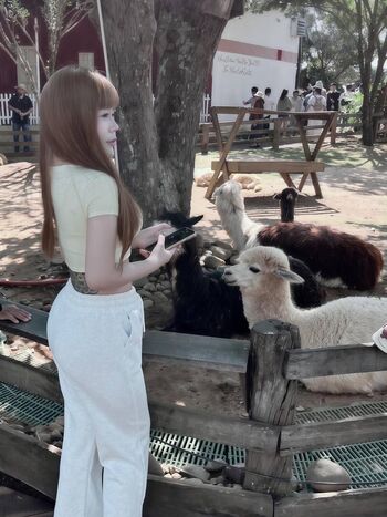 Full leaked Tn vyye private onlyfans photo