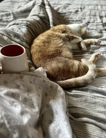 Full leaked Undiscoverme private onlyfans photo