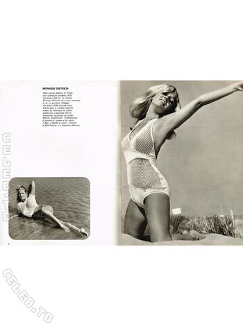 Vintage Erwachsenen Zeitschriften