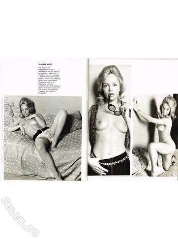 Vintage Erwachsenen Zeitschriften