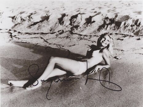 Full leaked Vintage starlets page private onlyfans photo