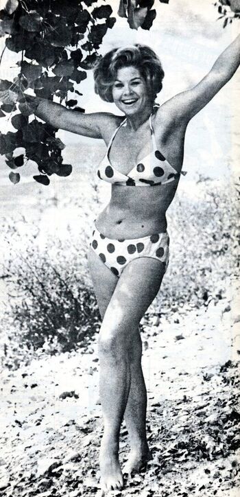 Full leaked Vintage starlets page private onlyfans photo