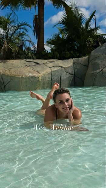 wee.welshie