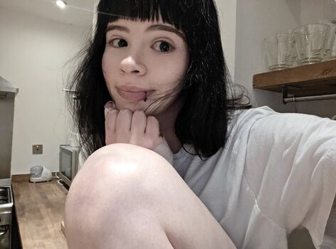 Wheybunny