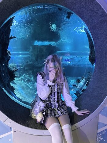 whimsilux