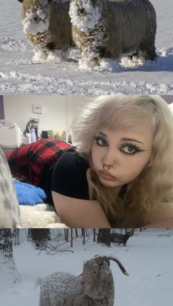 Ygwbt