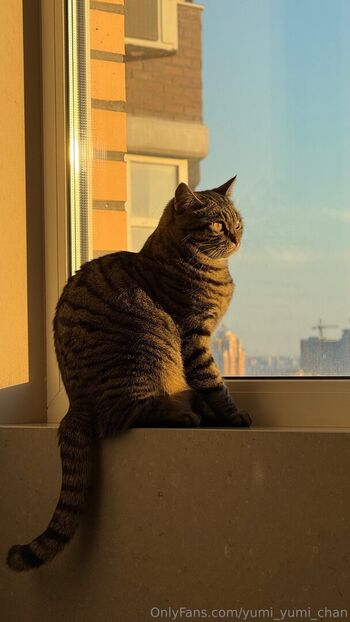 Full leaked Yumi yumi chan private onlyfans photo