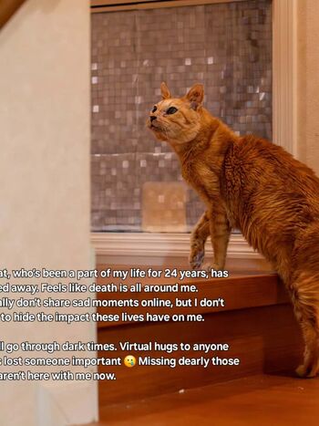 Full leaked Zumi page private onlyfans photo